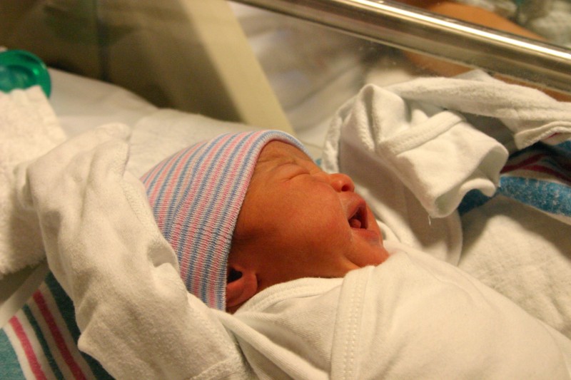 IMG_0612 [800x600].JPG